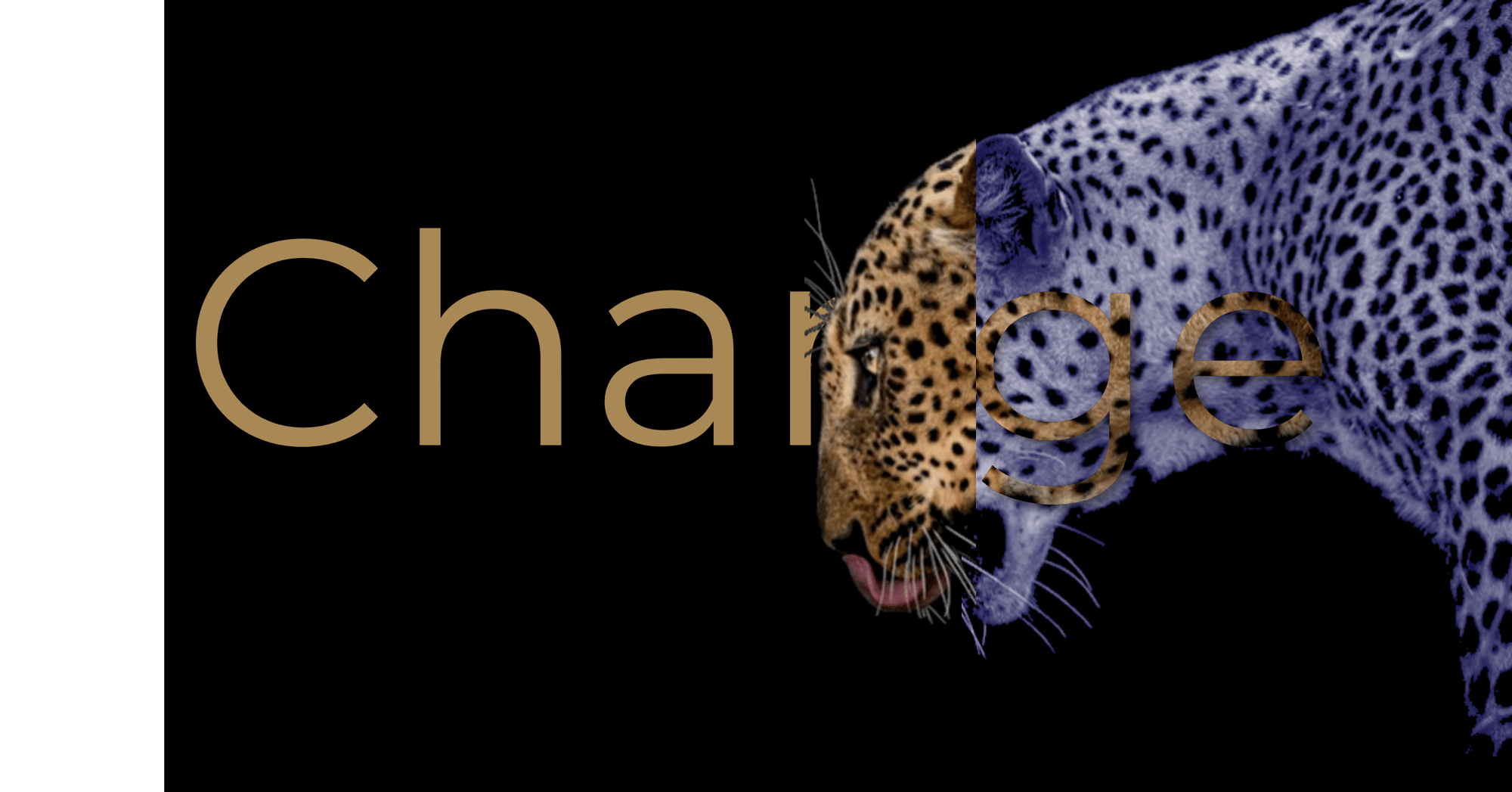 ChangeLeo ChangeLeo